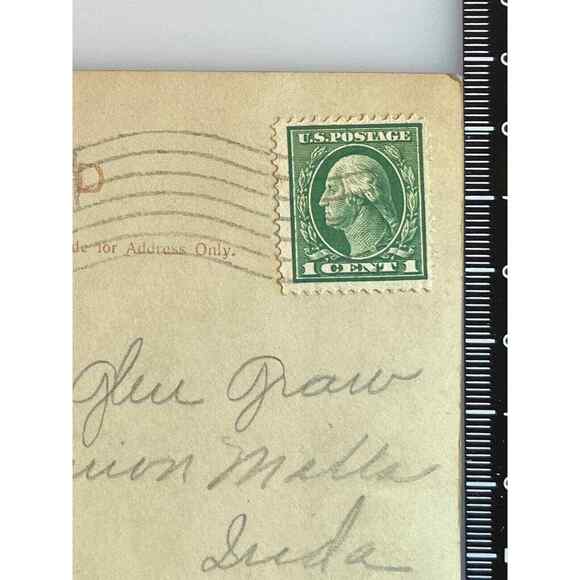 Antique 1915 Ephemera Postcard Birthday Wishes Great Dane Daisies Roses Monotone - Picture 4 of 6